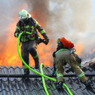 Brand Schlins42.jpg