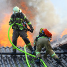 Brand Schlins41.jpg