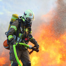 Brand Schlins43.jpg