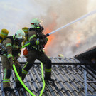 Brand Schlins32.jpg