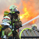 Brand Schlins35.jpg