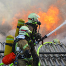Brand Schlins33.jpg