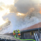 Brand Schlins27.jpg