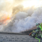 Brand Schlins29.jpg