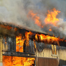 Brand Schlins16.jpg