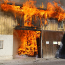 Brand Schlins07.jpg