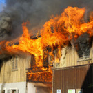 Brand Schlins05.jpg