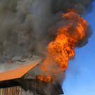 Brand Schlins03.jpg