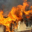 Brand Schlins06.jpg