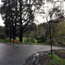 Unwetter Australien _2_.jpg