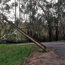 Unwetter Australien _4_.jpg