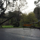 Unwetter Australien _1_.jpg
