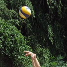 DSCF5139.JPG