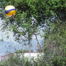 DSCF5215.JPG