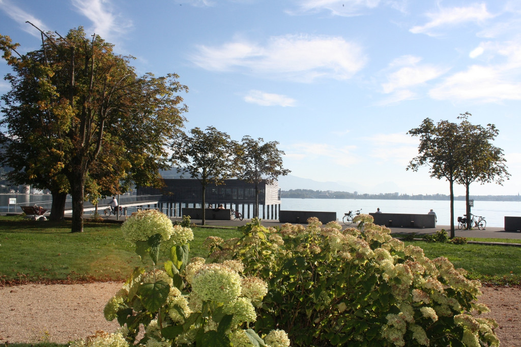 Seehotel OFFENE T__r Symbolfotos 2016 _4_.JPG