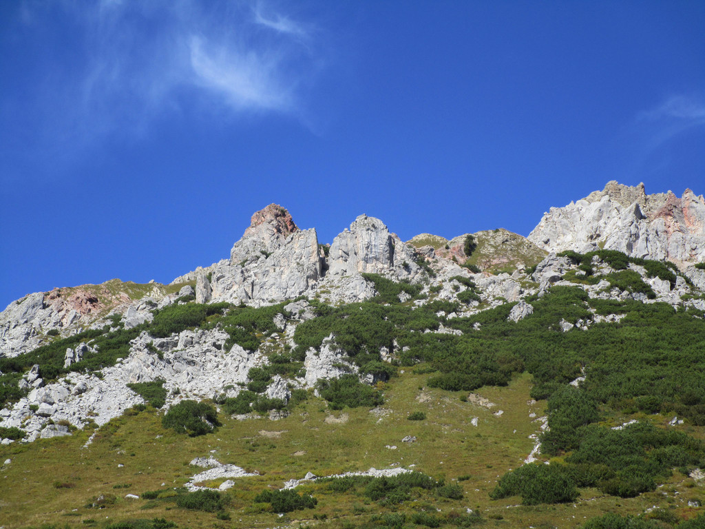 IMG_6523.JPG