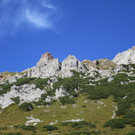 IMG_6523.JPG