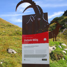 IMG_6530.JPG