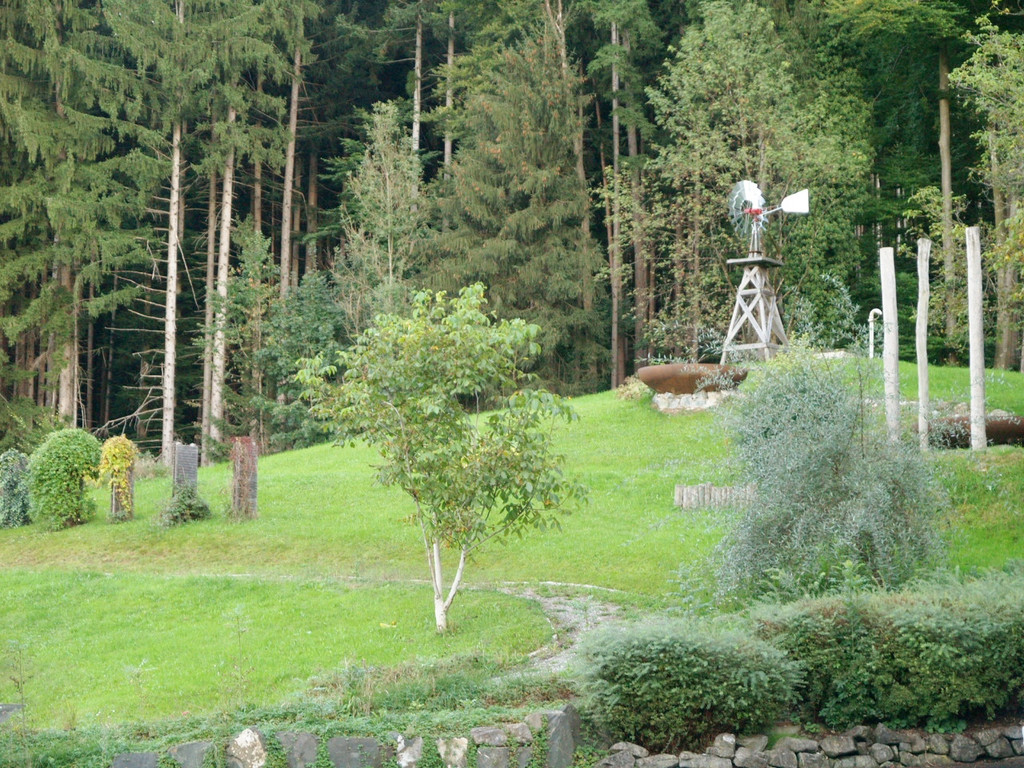 P1017336.jpg