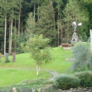 P1017336.jpg