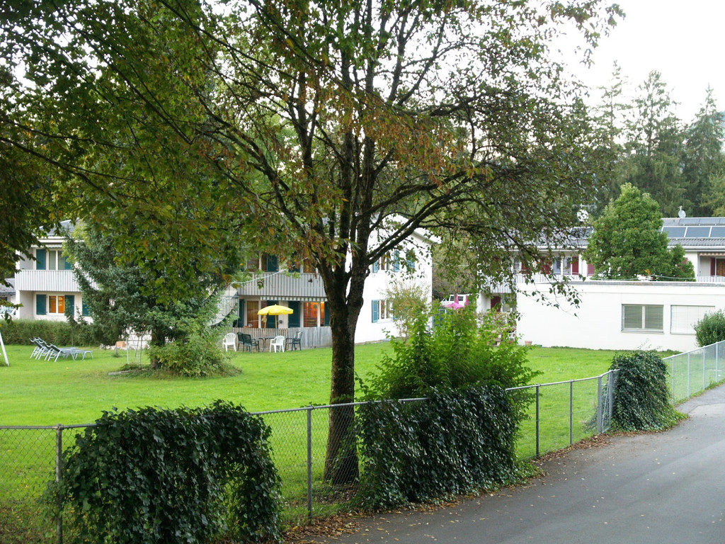 P1017337.jpg