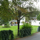 P1017337.jpg