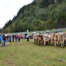 DSC_4050.jpg