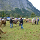 DSC_4070.jpg