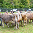 DSC_4075.jpg