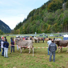 DSC_4089.jpg