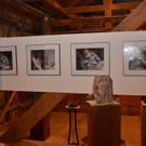 Lange Nacht Museum Ausstellungser__ffnung Radonatobel _5_.jpg
