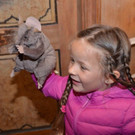 Lange Nacht Museum Kinderprogramm _49_.jpg
