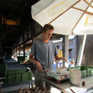 Die frisch geernteten S____kartoffeln werden f__r die Gem__sekisten abgewogen.jpg