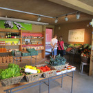 Die Qual der Wahl bei so viel frischer Ware.jpg