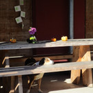 Hofhund Lisa schaut dem Treiben gelassen zu.jpg