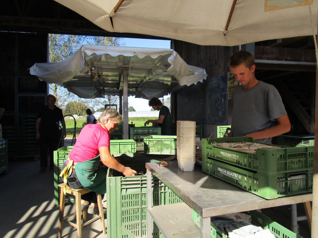 Trotz Herbsfest geht es flei__ig zu.jpg
