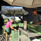 Trotz Herbsfest geht es flei__ig zu.jpg