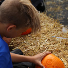 IMG_7552.JPG
