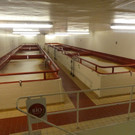 P1000531.JPG