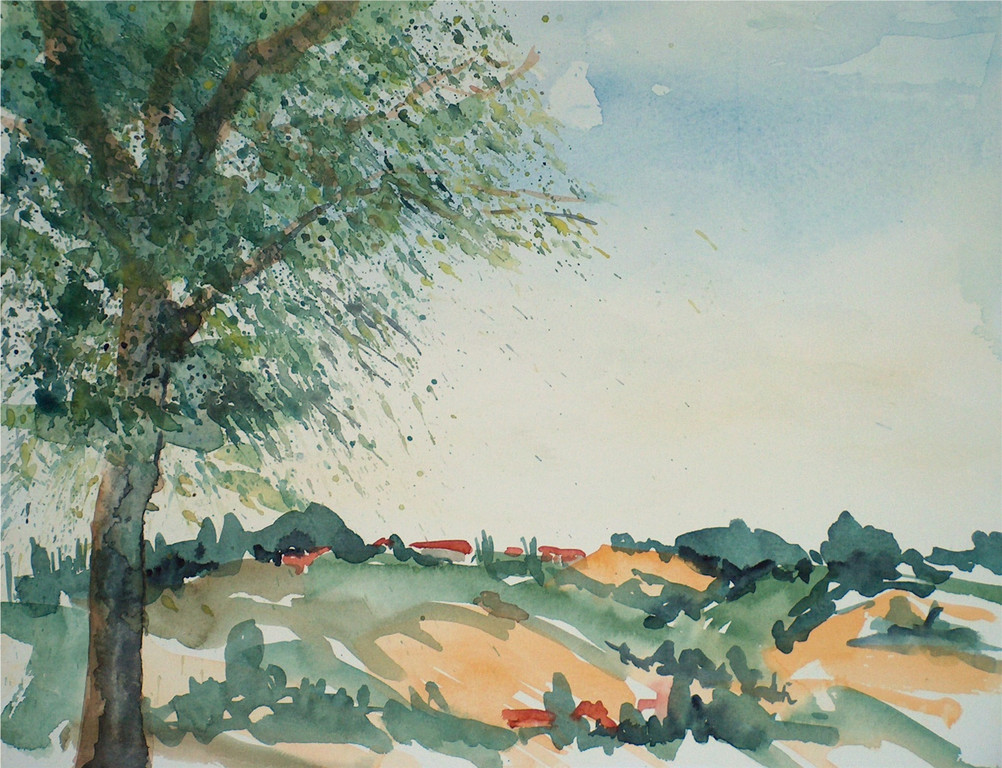 493 Bei Schallerbach.JPG