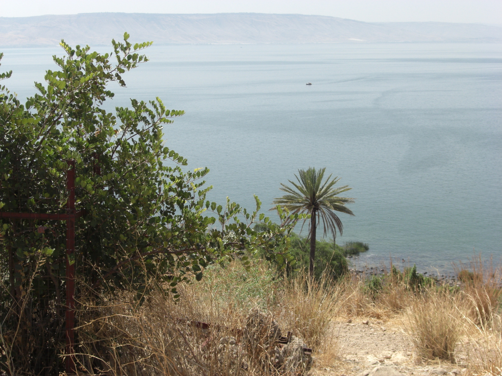 Isreal Landschaft_jpg-1277668299