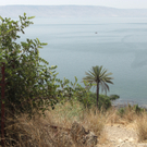 Pilgerreise Israel