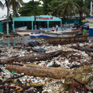 AFP_GS5C0.jpg