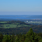 _DSC5218.jpg