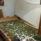 Cannabis-Geruch auf der Straße in Wien-Meidling