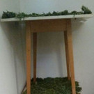 cannabis3.jpg