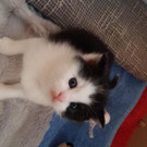 20161005_132729.jpg