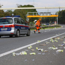 Ladegut verloren06.jpg