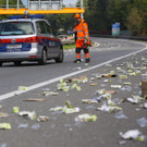 Ladegut verloren07.jpg