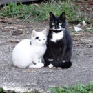 DSC07791.jpg